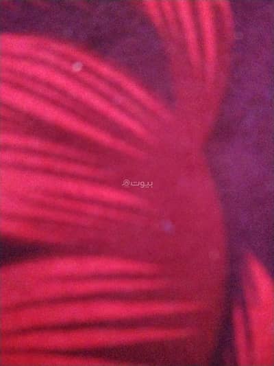 1 Bedroom Room for Rent in Al Seeb, Muscat - 1 Room For Rent in Al Seeb, Muscat