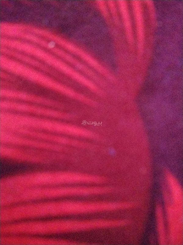 1 Room For Rent in Al Seeb, Muscat