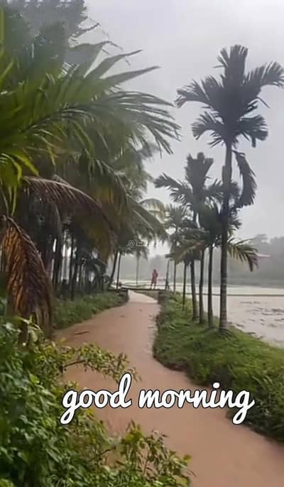 غرفة 1 غرفة نوم للايجار في صحم، الباطنة - غرفة واحدة للايجار في صحار، الباطنة