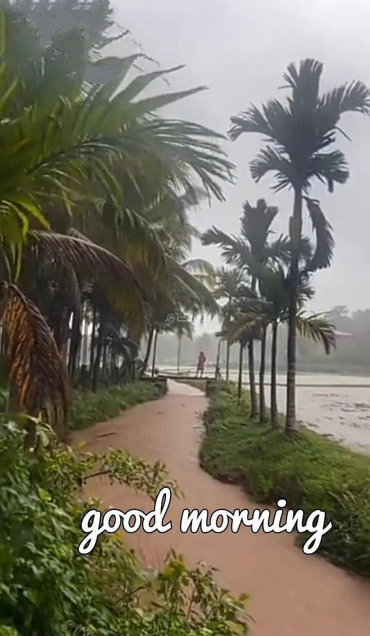 غرفة واحدة للايجار في صحار، الباطنة