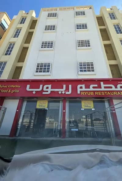 استوديو  للايجار في الدقم، الوسطى - شقة 1 غرفة نوم للإيجار في الدقم، الوسطى