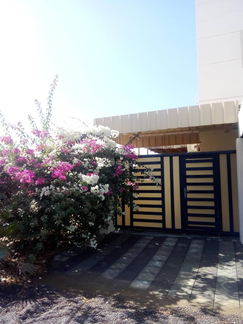 فيلا مكونة من 6 غرف نوم للإيجار في صحار، الباطنة