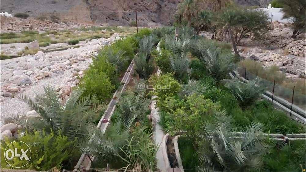 أرض سكنية للبيع في قريات، مسقط أرض سكنية للبيع في قريات، مسقط