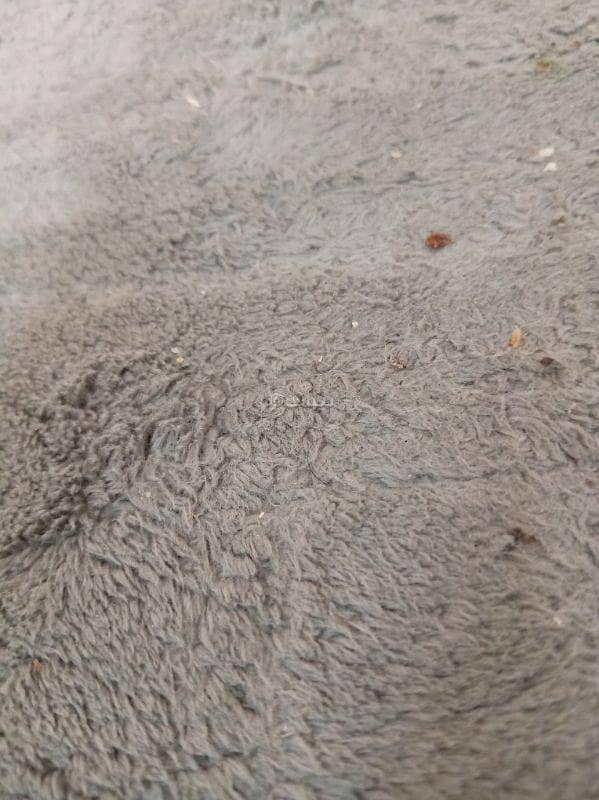 شقة مكونة من غرفتي نوم للإيجار في المعبيلة، مسقط شقة مكونة من غرفتي نوم للإيجار في المعبيلة، مسقط