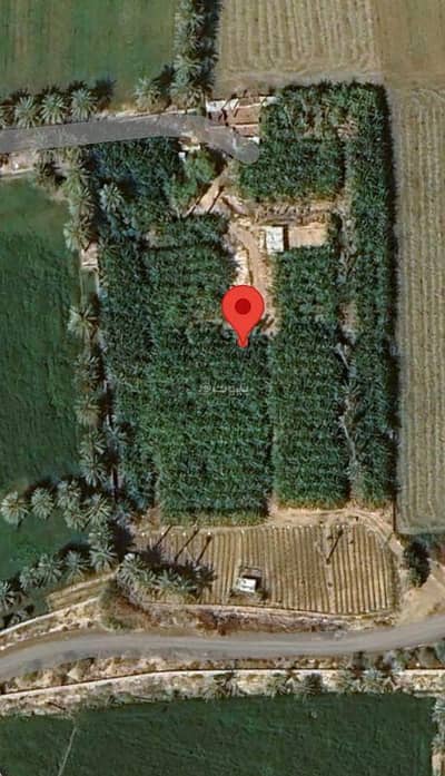 Residential Land for Sale in Suwaiq, Al Batinah - Residential Land For Sale in Suwaiq, Al Batinah