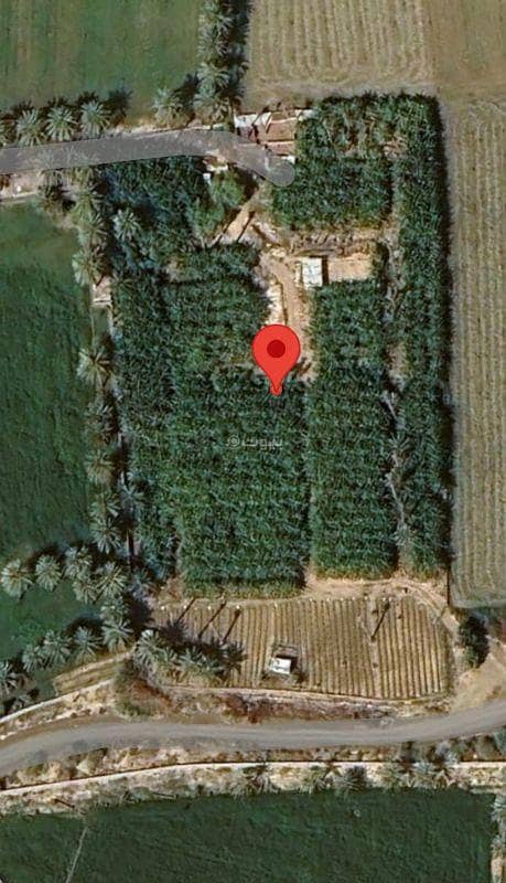 أرض سكنية للبيع في السويق، الباطنة أرض سكنية للبيع في السويق، الباطنة