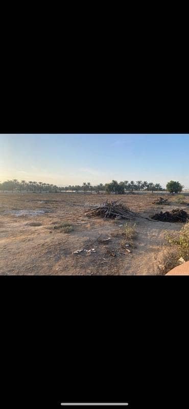 أرض سكنية للإيجار في السيب، مسقط أرض سكنية للإيجار في السيب، مسقط