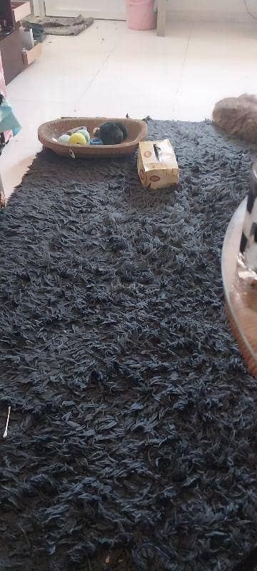 غرفة 2 غرفة نوم للايجار في العذيبة، مسقط - غرفة 2 غرف للإيجار في العزيبة، مسقط