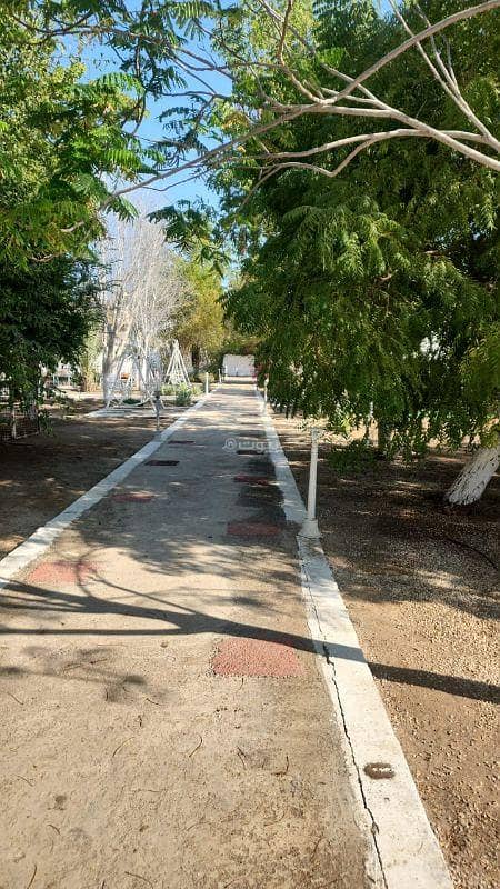 شاليه مكون من 3 غرف نوم للبيع في بركاء، الباطنة شاليه مكون من 3 غرف نوم للبيع في بركاء، الباطنة