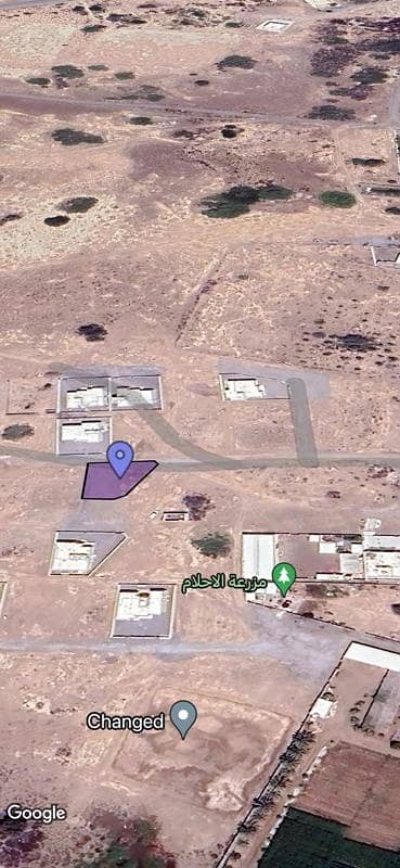 أرض سكنية للبيع في المسنة، الباطنة أرض سكنية للبيع في المسنة، الباطنة