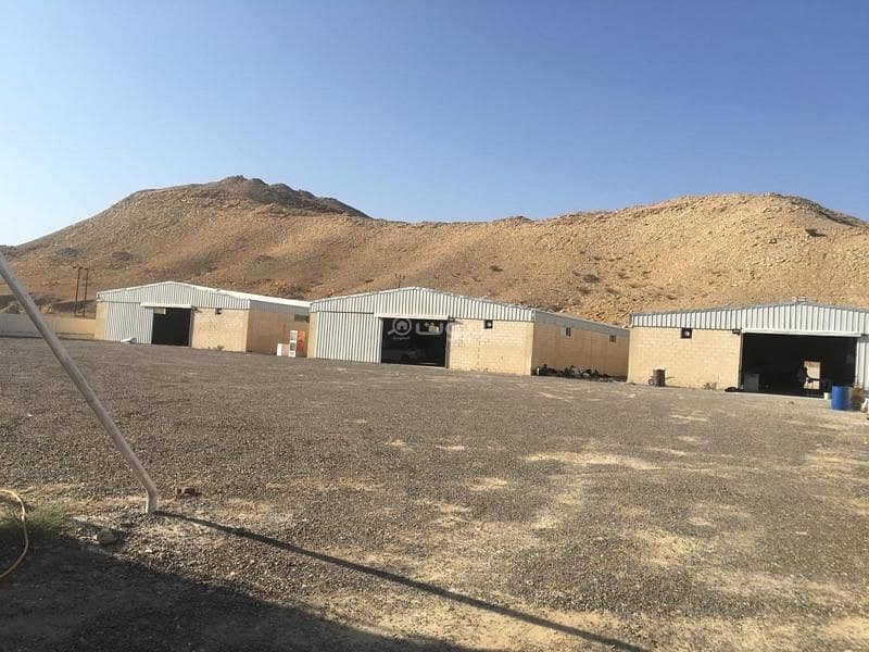 Residential Land For Sale in Al Buraimi Residential Land For Sale in Al Buraimi
