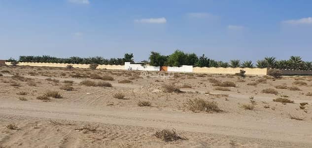 ارض سكنية  للبيع في المصنعة، الباطنة - أرض سكنية للبيع في المسنع، الباطنة