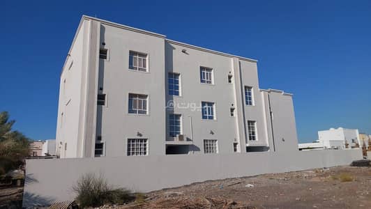 Commercial Building for Sale in Al Maabilah, Muscat - Commercial Building For Sale in Al Maabilah, Muscat