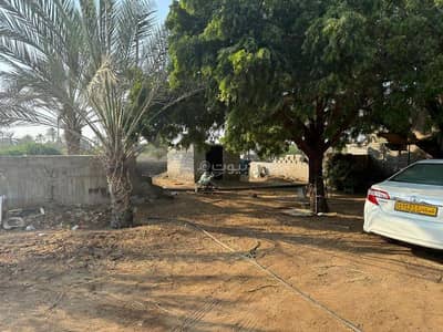 ارض سكنية  للبيع في السويق، الباطنة - أرض سكنية للبيع في السويق، الباطنة