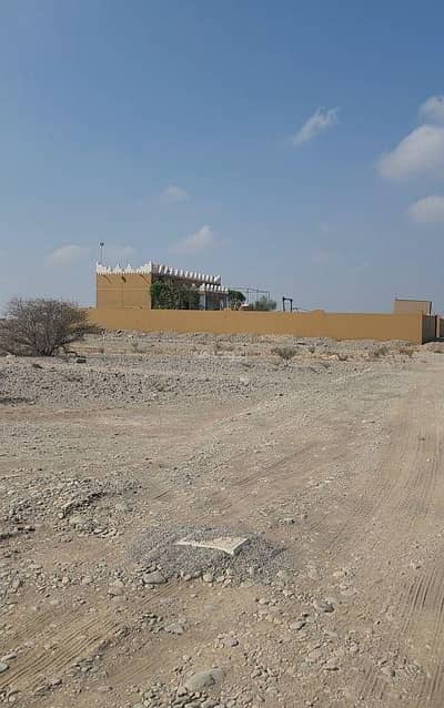 ارض سكنية  للبيع في بركاء، الباطنة - أرض سكنية للبيع في بركة الباطنة