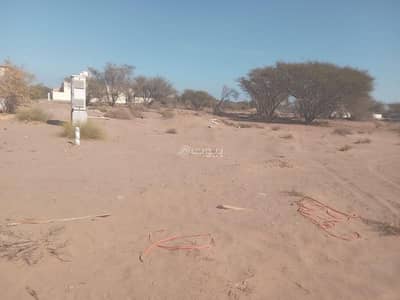 ارض سكنية  للبيع في بركاء، الباطنة - أرض سكنية للبيع في بركاء، الباطنة