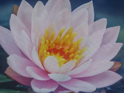 1 Bedroom Room for Rent in Qurum, Muscat - 1 Bedroom Room For Rent Qurum, Muscat