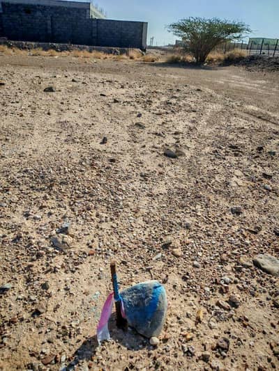 Residential Land for Sale in Ibri, Al Dhahirah - Residential Land For Sale in Ibri, Al Dhahirah