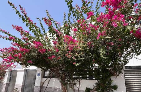 2 Bedroom Flat for Rent in Al Mawaleh, Muscat - 2 Bedroom Apartment For Rent in Al Mawaleh, Muscat