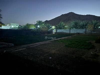 ارض سكنية  للبيع في المضيبي، الشرقية - أرض سكنية للبيع في المضيبي، الشرقية