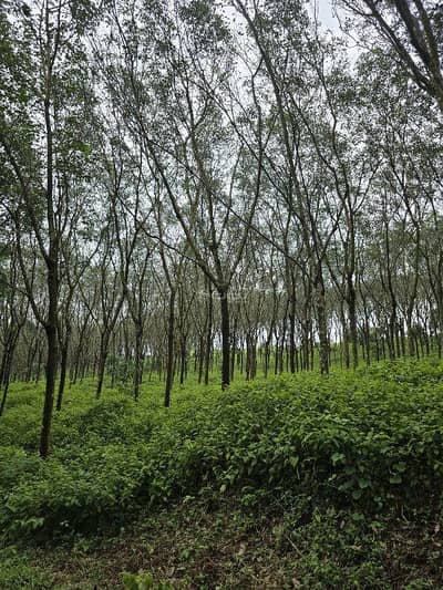 Residential Land for Sale in Al Ghubrah, Muscat - Residential Land For Sale in Al Ghubrah, Muscat