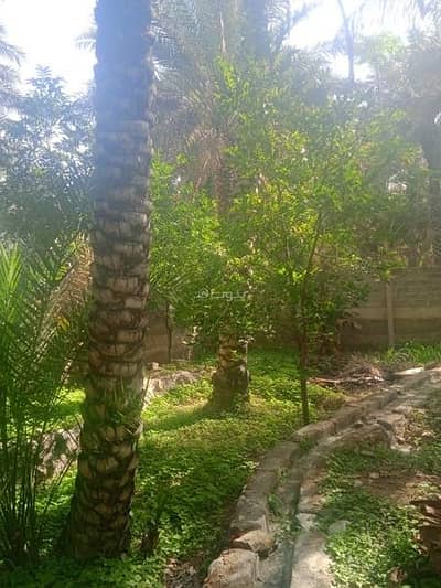 ارض سكنية  للبيع في صور، الشرقية - أرض سكنية للبيع في صُح، الشرقية