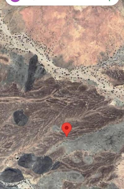 ارض سكنية  للبيع في العامرات، مسقط - أرض سكنية للبيع في العوامرية، مسقط