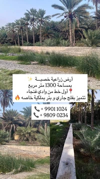Residential Land for Sale in Bidbid, Al Dakhiliya - Residential Land For Sale in Bidbid, Al Dakhiliya