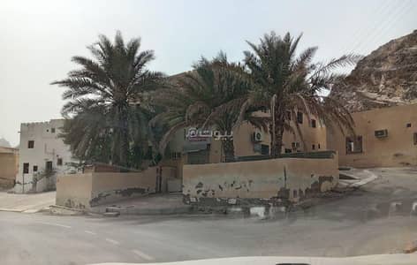 فیلا 7 غرف نوم للبيع في البستان، مسقط - فيلا 7 غرف نوم للبيع في الع Bustan، مسقط