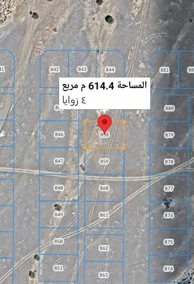 Residential Land for Sale in Wadi Al Ma'awal, Al Batinah - Residential Land For Sale in Wadi Al Ma'awal, Al Batinah