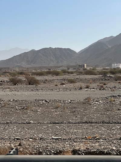 Residential Land for Sale in Al Sifah, Muscat - Residential Land For Sale in Al Sifah, Muscat