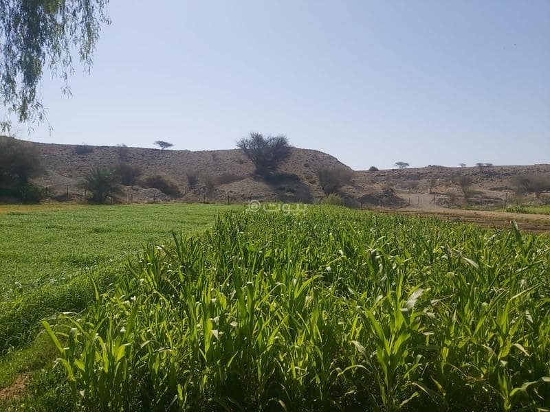 2 Bedrooms Chalet For Sale Al Rustaq, Al Batinah